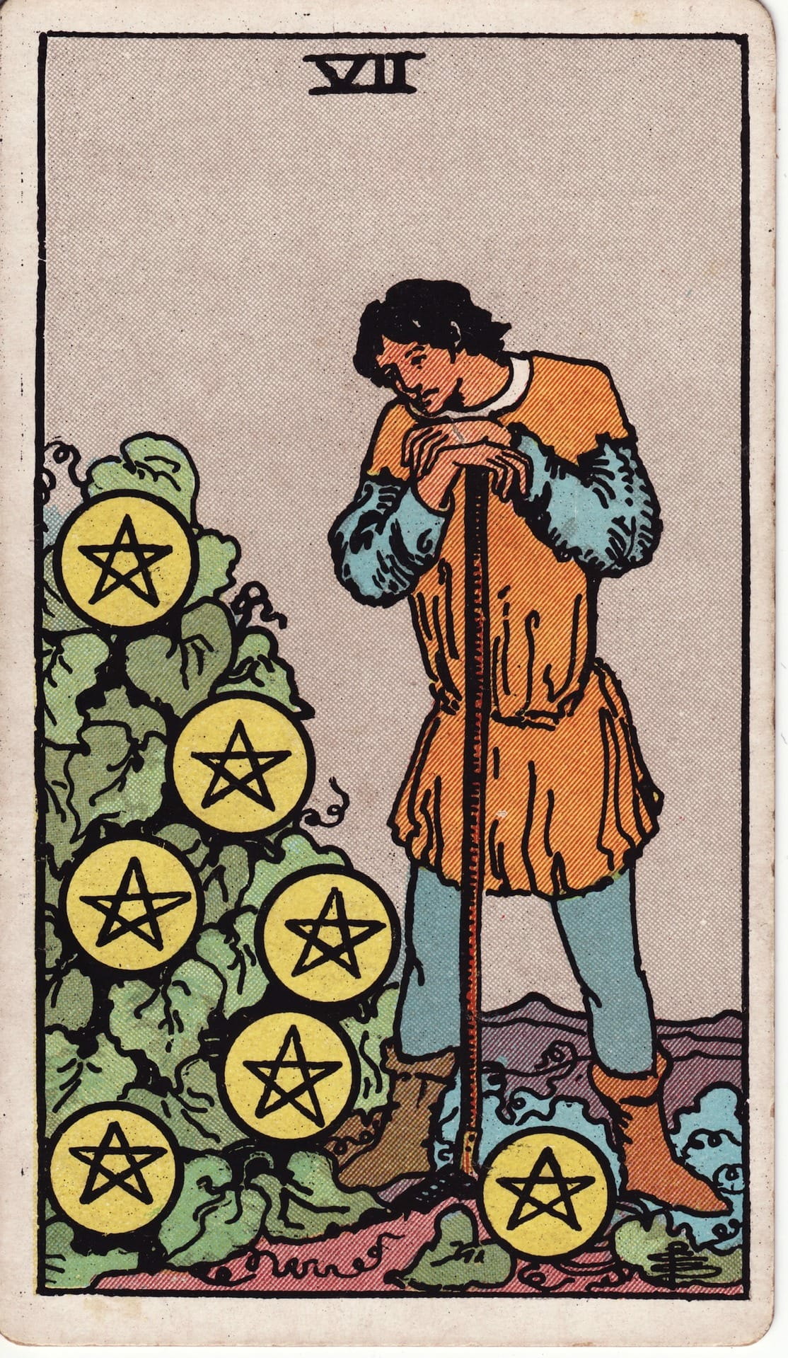 Seven of Pentacles - Tarot Minor Arcana
