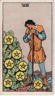 Seven of Pentacles - Tarot Minor Arcana
