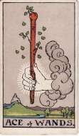 Ace of Wands - Tarot Minor Arcana