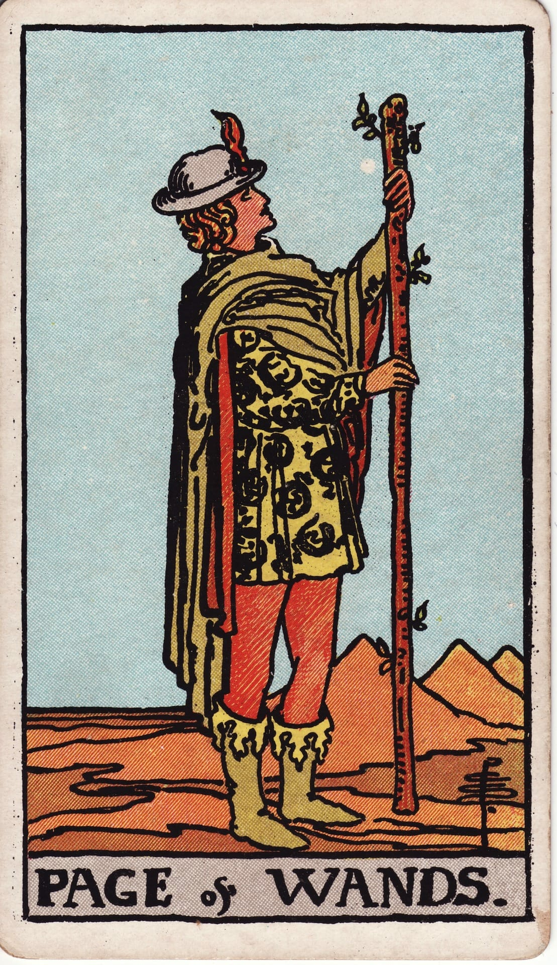 Page of Wands - Tarot Minor Arcana